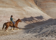 Flitner Ranch, Shell, WY - cowboy chasing shadow horses