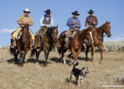 Flitner Ranch, Shell, WY - 4 cowboys and cowdog ride