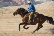 Flitner Ranch, Shell, WY -  cowboy running horse