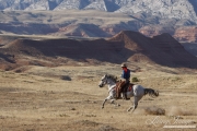 Flitner Ranch, Shell, WY - cowboy and horse running