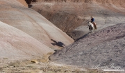 Flitner Ranch, Shell, WY - cowboy and his shadow on the painted hills