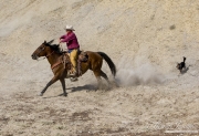 Flitner Ranch, Shell, WY - cowboy and cowdog running fast down the hill, stirring up dust