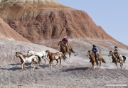 Flitner Ranch, Shell, WY - three cowboys drive 2 paint horses and one grey Quarter horse