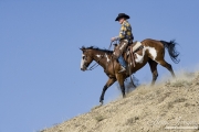 Flitner Ranch, Shell, WY - cowboy rides paint horse gelding down hill