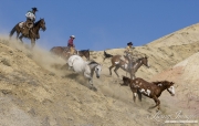 Flitner Ranch, Shell, WY - three coboys drive paint horse and grey Quarter horse down hill