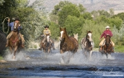Flitner Ranch, Shell, WY - three cowboys drive paint horse and palomino, grey, bay and sorrel Quarter horses through stream