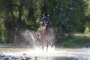Flitner Ranch, Shell, WY - cowboy trots through stream with water spraying up