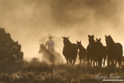 Cowboy driving mares and foals in the dust, San Cristobal Ranch, NM