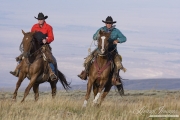 Flitner Ranch, Shell, WY - two older cowboys run their horses