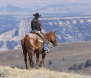 Flitner Ranch, Shell, WY - cowboy looks out over canyon