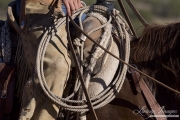 Cowboy's rig - rope, saddle horn, chaps, San Cristobal Ranch, NM