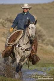 cowboy runs horse through water at Sombrero Ranch, Craig, Colorado