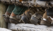 cowboy's spurs at Sombrero Ranch, Craig, Colorado