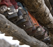cowboy's spurs at Sombrero Ranch, Craig, Colorado