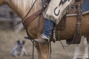 cowboy at rest as ranch dog watches at Sombrero Ranch, Craig, Colorado