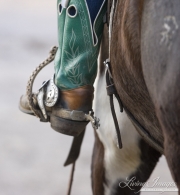 Sombrero Ranch, Craig, CO, cowboy's boot and spur