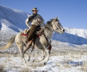 cowboy on grey Quarter horse running in the snow at Flitner Ranch, Shell, WY