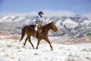 Cowboy on sorrel Quarter horse trotting in the snow at Flitner Ranch, Shell, WY