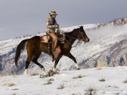 Flitner Ranch, Shell, WY, horses in winter, cowboy riding horse in snow