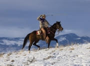 Flitner Ranch, Shell, WY, horses in winter, cowboy swinging a loop while riding in the snow