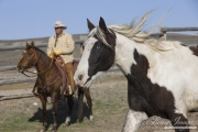 Sombrero Ranch, Craig, CO, cowboy on horse with paint horse running