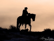 Flitner Ranch, Shell, WY, horses in winter, cowboy and horse and dog in silhouette