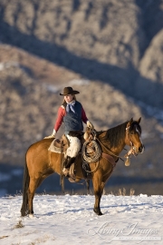 Flitner Ranch, Shell, WY, horses in winter, cowgirl on horse in snow