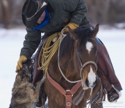 Flitner Ranch, Shell, WY, horses in winter, cowboy on horse leaning down to pet dog in snow
