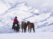 Flitner Ranch, Shell, WY, horses in winter, cowboy leading horses in the snow
