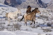 Flitner Ranch, Shell, WY, horses in winter, cowboy driving horses in snow