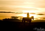 Flitner Ranch, Shell, WY, horses in winter, cowboy on horse at sunset