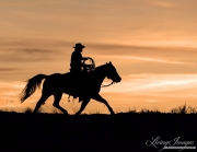 Flitner Ranch, Shell, WY, horses in winter, cowboy trotting at sunset