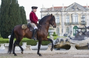 UnderSaddle-130