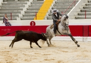 UnderSaddle-157
