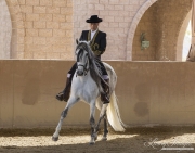 UnderSaddle-164