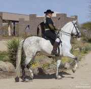 UnderSaddle-167