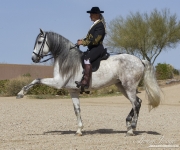 UnderSaddle-174