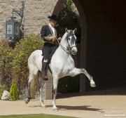 UnderSaddle-179