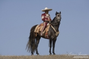 young Grey Andalusian stallion with rider in Charro outfit in Ojai, CA