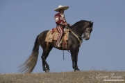 Young Grey Andalusian stallion with rider in Charro outfit in Ojai, CA