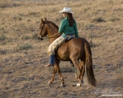Peruvian Paso stallion and rider in western gear in Ojai, CA
