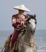 Riding grey Andalusian stalllion on the beach in Charro outfit in Ojai, CA