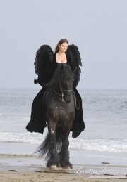 Black Angel on black Friesian stallion on the beach in Ojai, CA