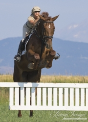 Woman jumping Dutch Warmblood mare in Longmont, CO