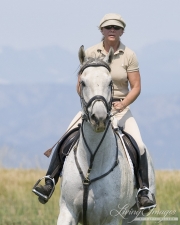 Woman riding grey thoroughbred gelding in Longmont, CO