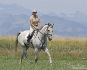 Woman trotting grey thoroughbred gelding in Longmont, CO