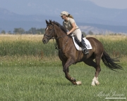 Woman cantering chestnut thoroughbred gelding in Longmont, CO