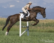 Woman jumping chestnut thoroughbred gelding in Longmont, CO