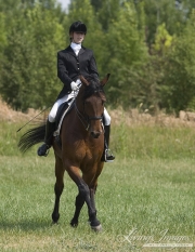 girl doing half pass with Westfalen gelding in Longmont, CO