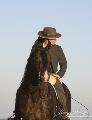 Bay half Andalusian half Quarter horse stallion (Azteca), and rider in traditional Spanish attire, Ojai, CA